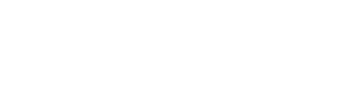 MEHENA (5)
